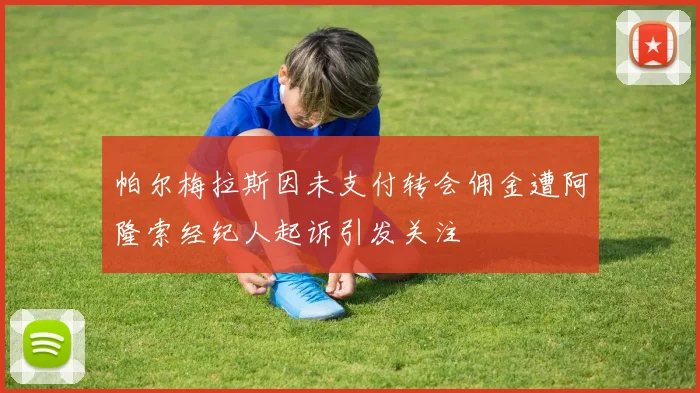 帕尔梅拉斯因未支付转会佣金遭阿隆索经纪人起诉引发关注