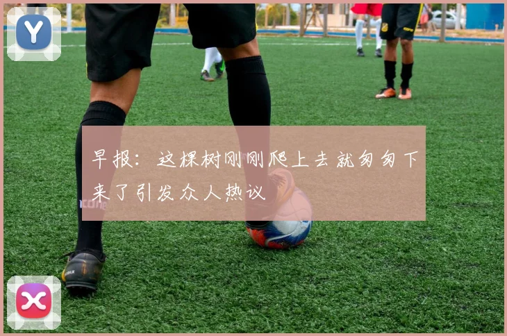 早报：这棵树刚刚爬上去就匆匆下来了引发众人热议